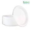 9 inch Plate White