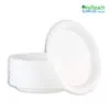 9 inch Plate White