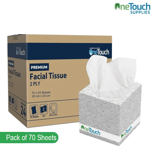 Premium 2-Ply Facial Tissue | 70 Sheets per Box (Case of 24 Boxes) | Soft & Gentle