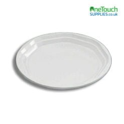 10'' Disposable Plate