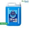 Carex Original Professional Antibacterial Hand Wash 5L Bottle